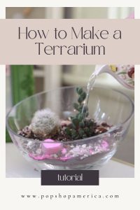 how to make a terrarium pin