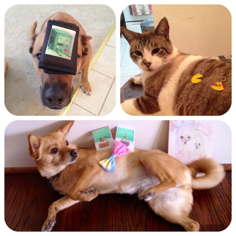 Pup Shop Houston at the Craft Kitties | Puppies with Crafts and Cats with Crafts