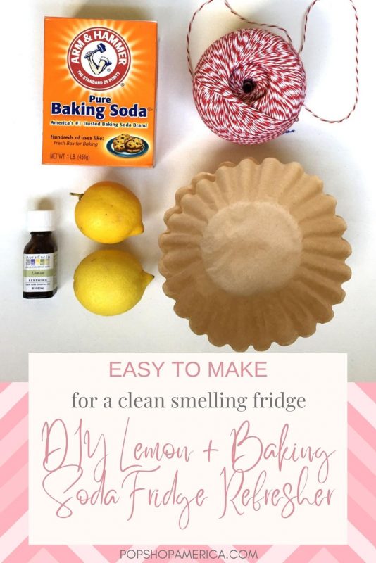 DIY Lemon Refrigerator Refresher for Spring Cleaning Perfection