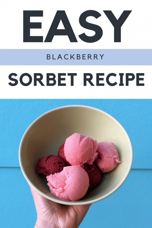 easy diy blackberry sorbet recipe pop shop america