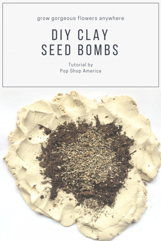 DIY Clay Seed Bombs by Pop Shop America