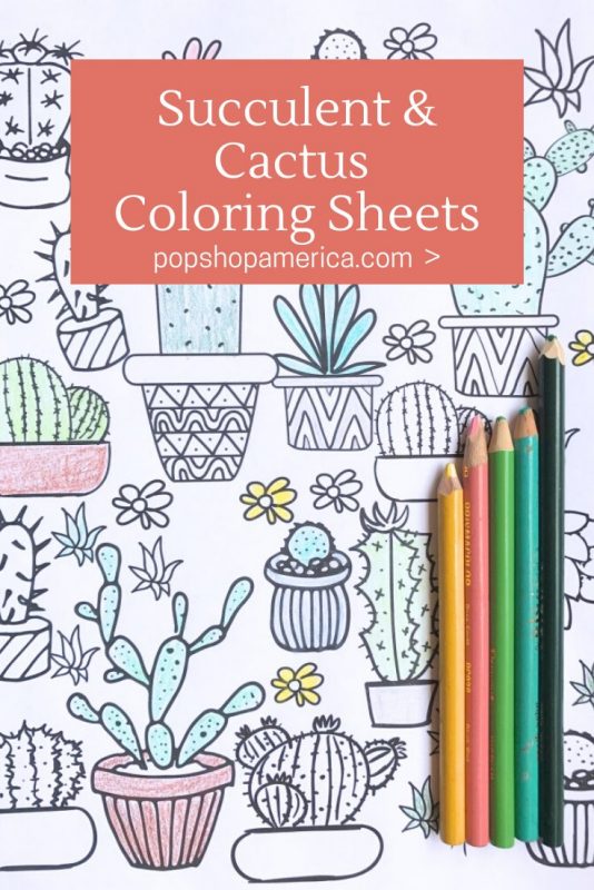 succulent and cactus coloring sheets pop shop america