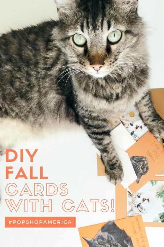 diy fall cards with your cats