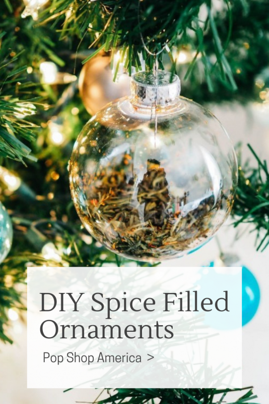 diy spice filled ornaments pop shop america