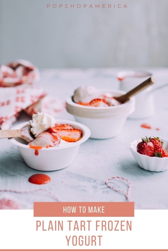 homemade-tart-frozen-yogurt-recipe-pop-shop-america-