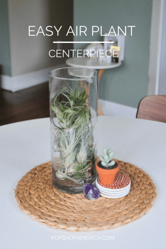 easy air plant centerpiece diy pin