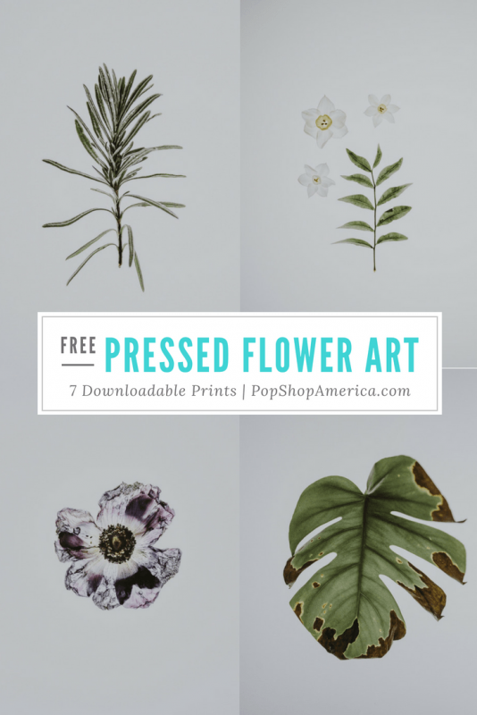 free pressed flower art prints pop shop america