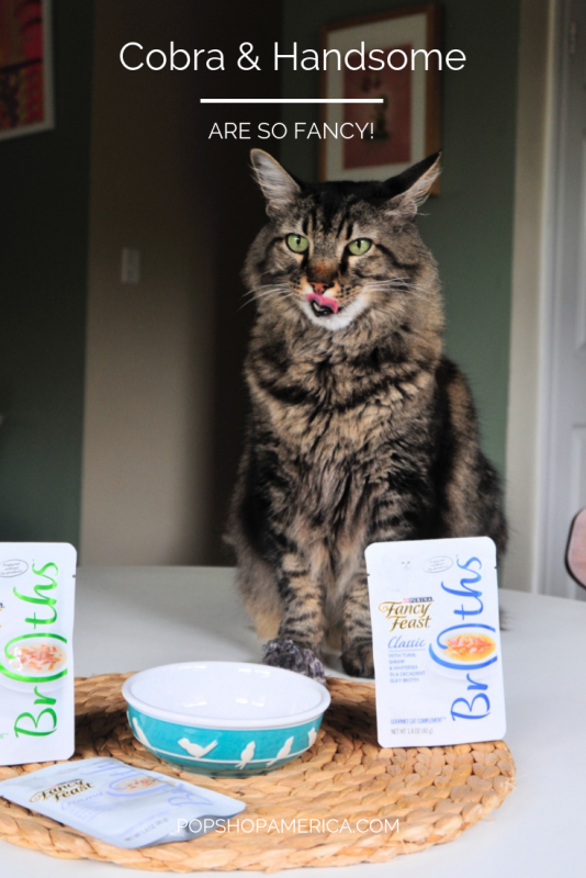 Cobra and Handmsome are so Fancy - Fancy Feast Pop Shop America