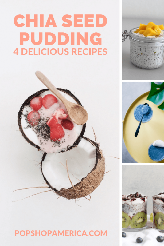 chia seed pudding recipes 4 ways pop shop america
