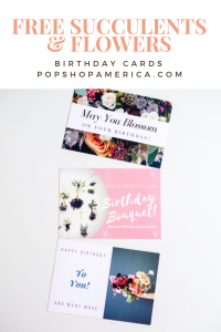 free birthday cards with succulents and flowers pop shop america