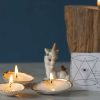 finished-gilded-seashell-candles-diy-pop-shop-america_Squarej