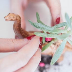 diy-planter-add-rocks-for-decoration-craft-in-style-subscription-box_square