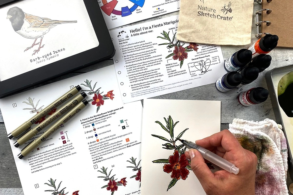 Nature Sketch Crate subscription box