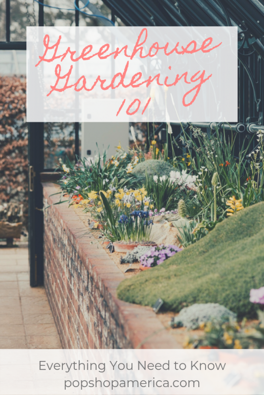 Greenhouse Gardening 101 beginners pop shop america