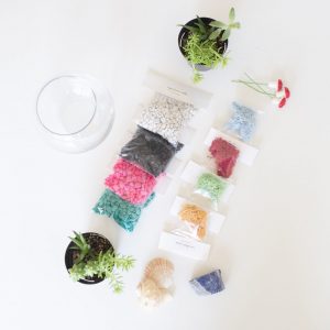 succulent-terrarium-kit-gardening-supplies-pop-shop-america-scaled_square