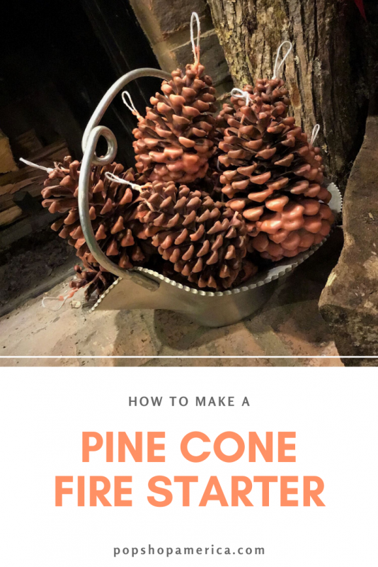 how to make a pine cone fire starter pop shop america