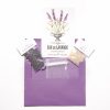 DIY Kit, Lavender Sachet Mini Craft Kit