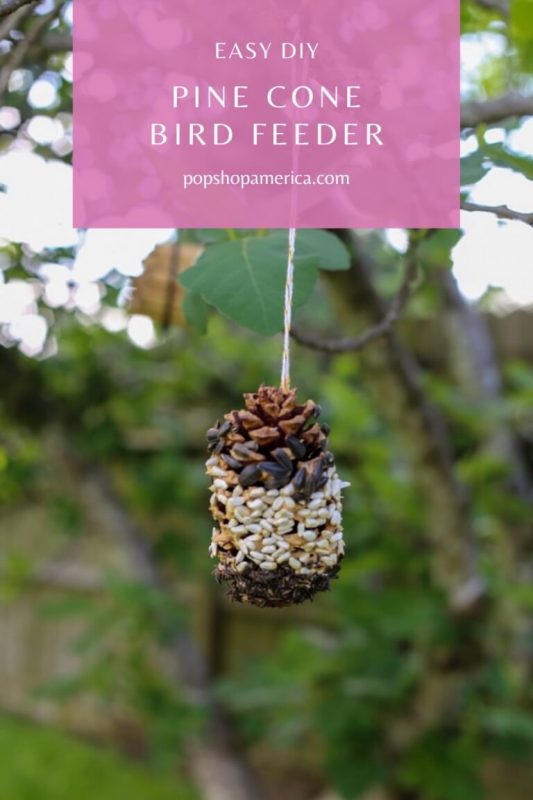easy-diy-pine-cone-bird-feeder-pop-shop-america-768x1152
