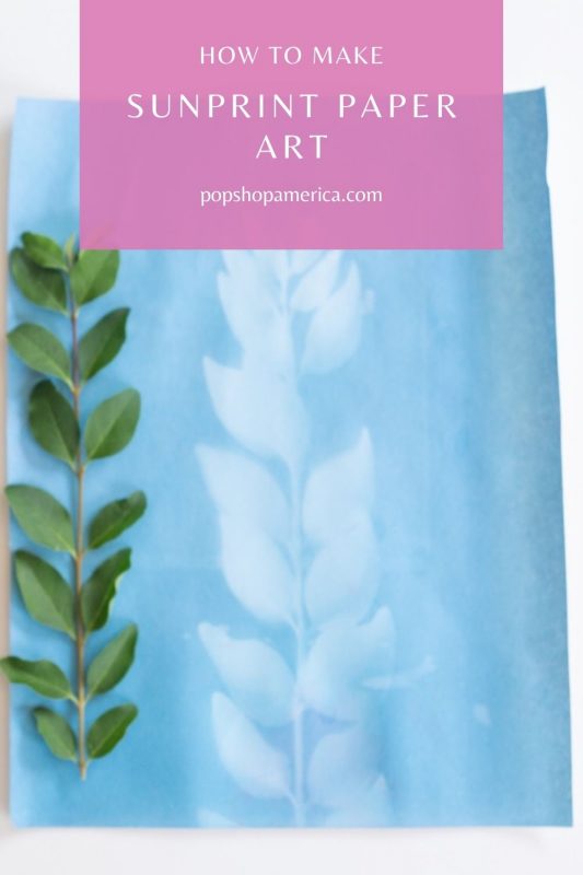 How to Make Sunprint Paper Art Tutorial Pop Shop America