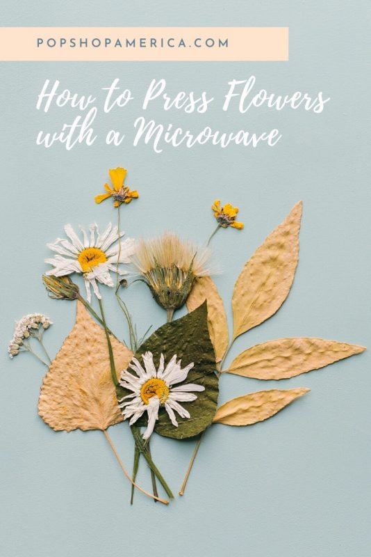 how-to-make-pressed-flowers-with-a-microwave-diy-pop-shop-america