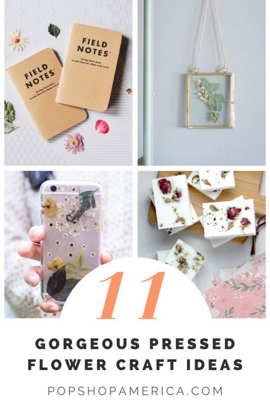 11 gorgeous pressed flower craft ideas pop shop america