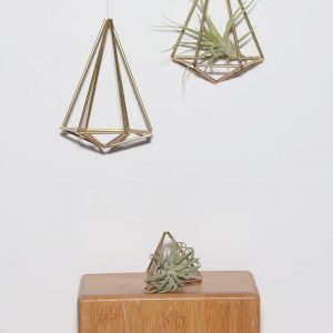 diy-himmeli-air-plant-holder_square