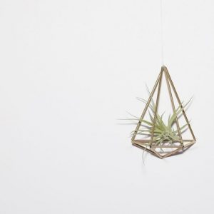 single-diy-himmeli-air-plant-holder_square