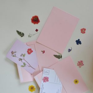 pressed-flower-postcards-flatlay_square