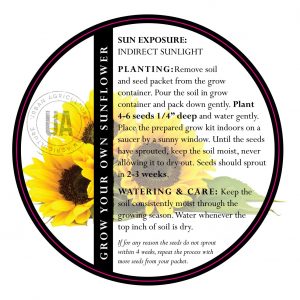 grow your own sunflowers kit care instructions