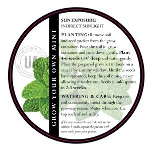 Alternative view of DIY Kit, Organic Mint Herb Garden Growing Kit