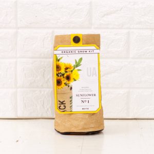 sunflower garden growing kit pop shop america