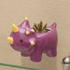 dinosaur planter terrarium gardening kit