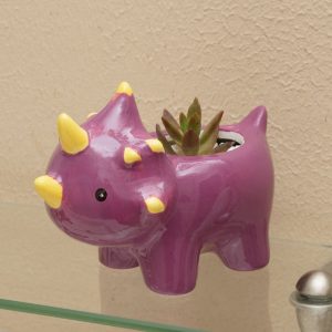 dinosaur planter terrarium gardening kit