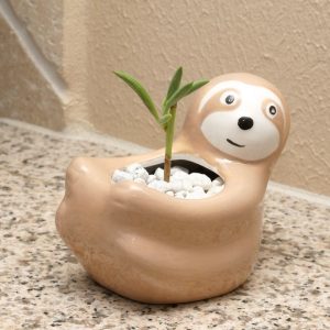 sloth planter gardening kit