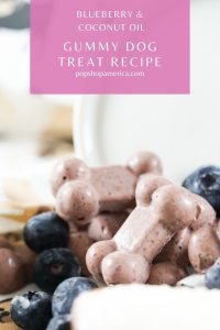 gummy dog treats recipe pop shop america
