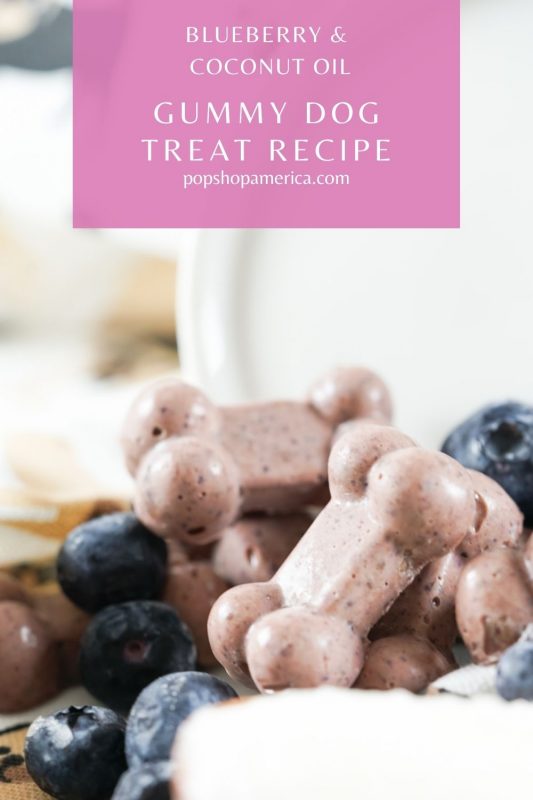 gummy dog treats recipe pop shop america