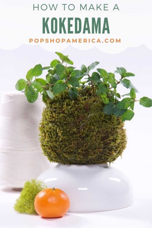how to make a kokedama featured image