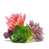 artificial succulent pack