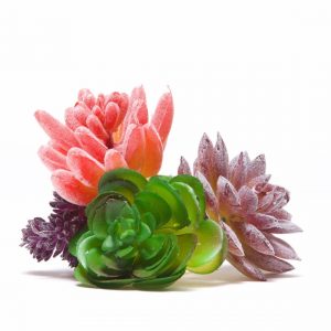 artificial succulent pack
