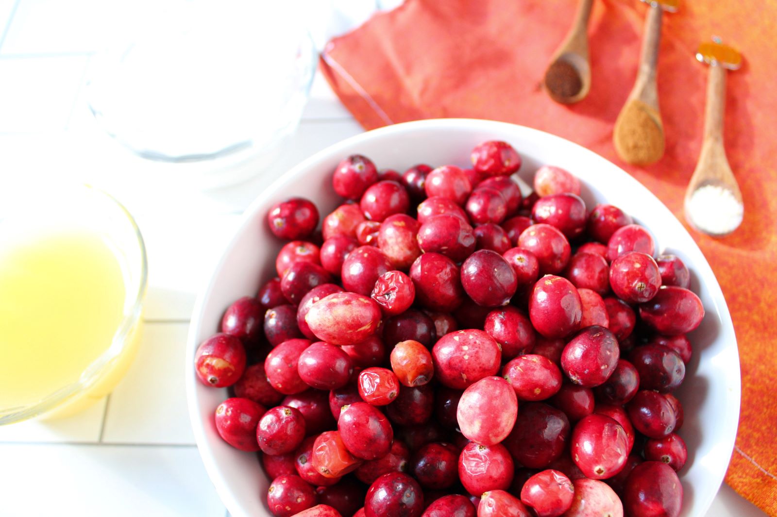 ingredients chipotle cranberry sauce 1
