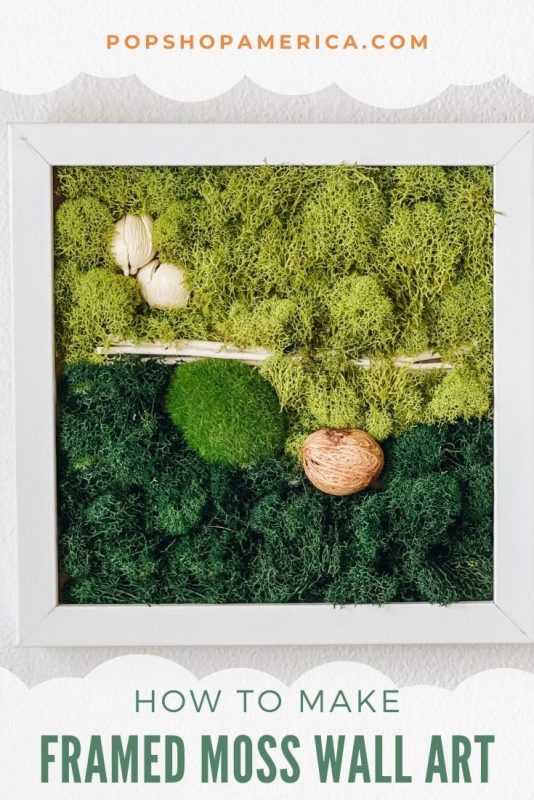 How to Make Framed Moss Wall Art DIY Tutorial
