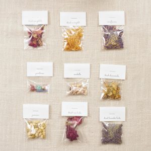 Mini 13 Herb Sampler Kit