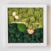 DIY Kit, Moss Wall Art Square