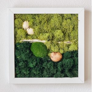 DIY Kit, Moss Wall Art Square