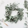 fresh eucalyptus wreath making kit