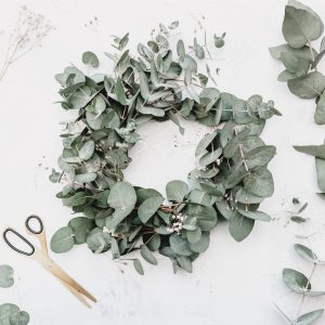 fresh eucalyptus wreath making kit