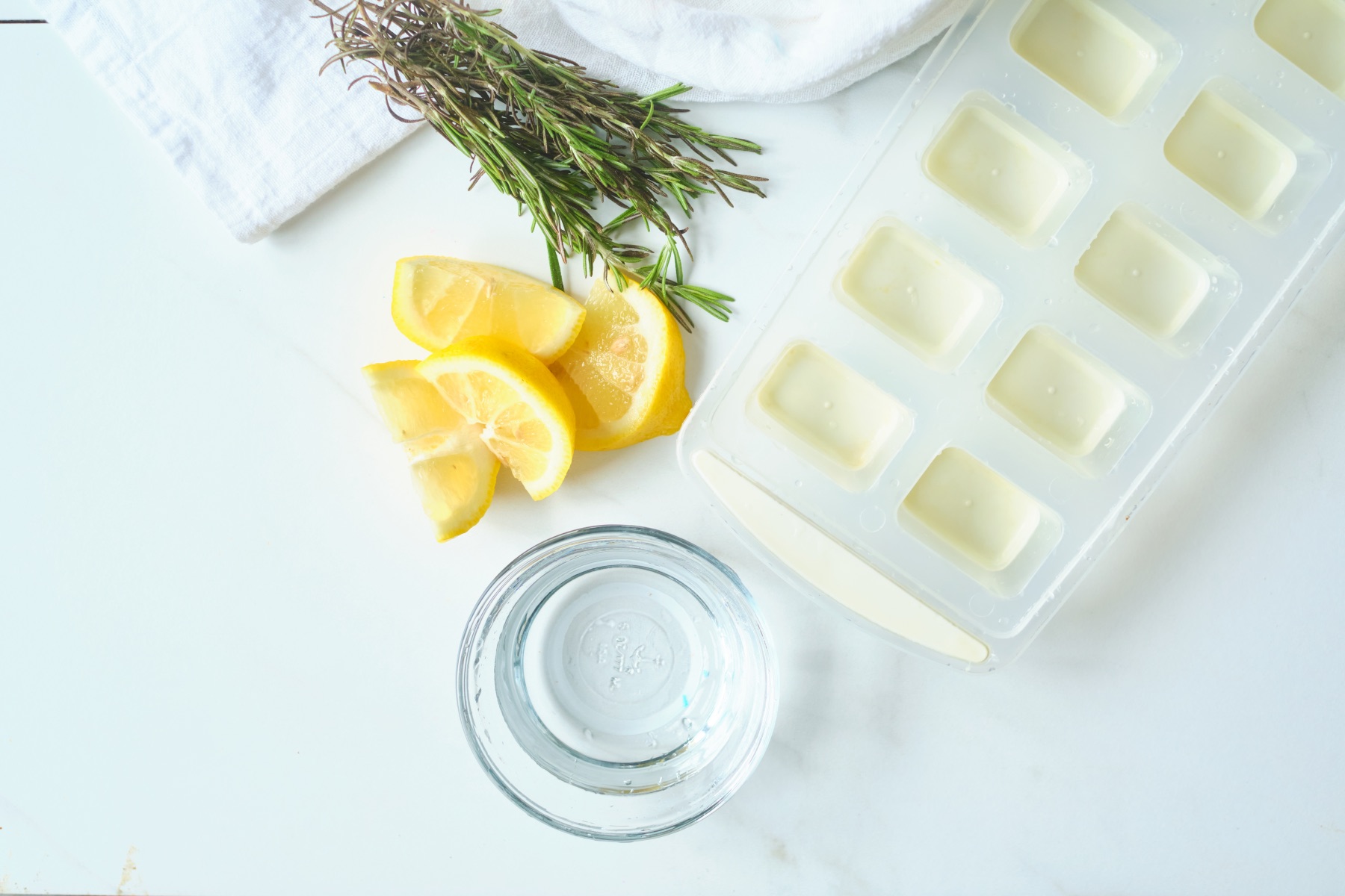 supplies to make garbage disposal cleaning cubes