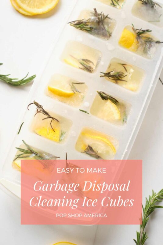 Garbage Disposal Cleaning Ice Cubes