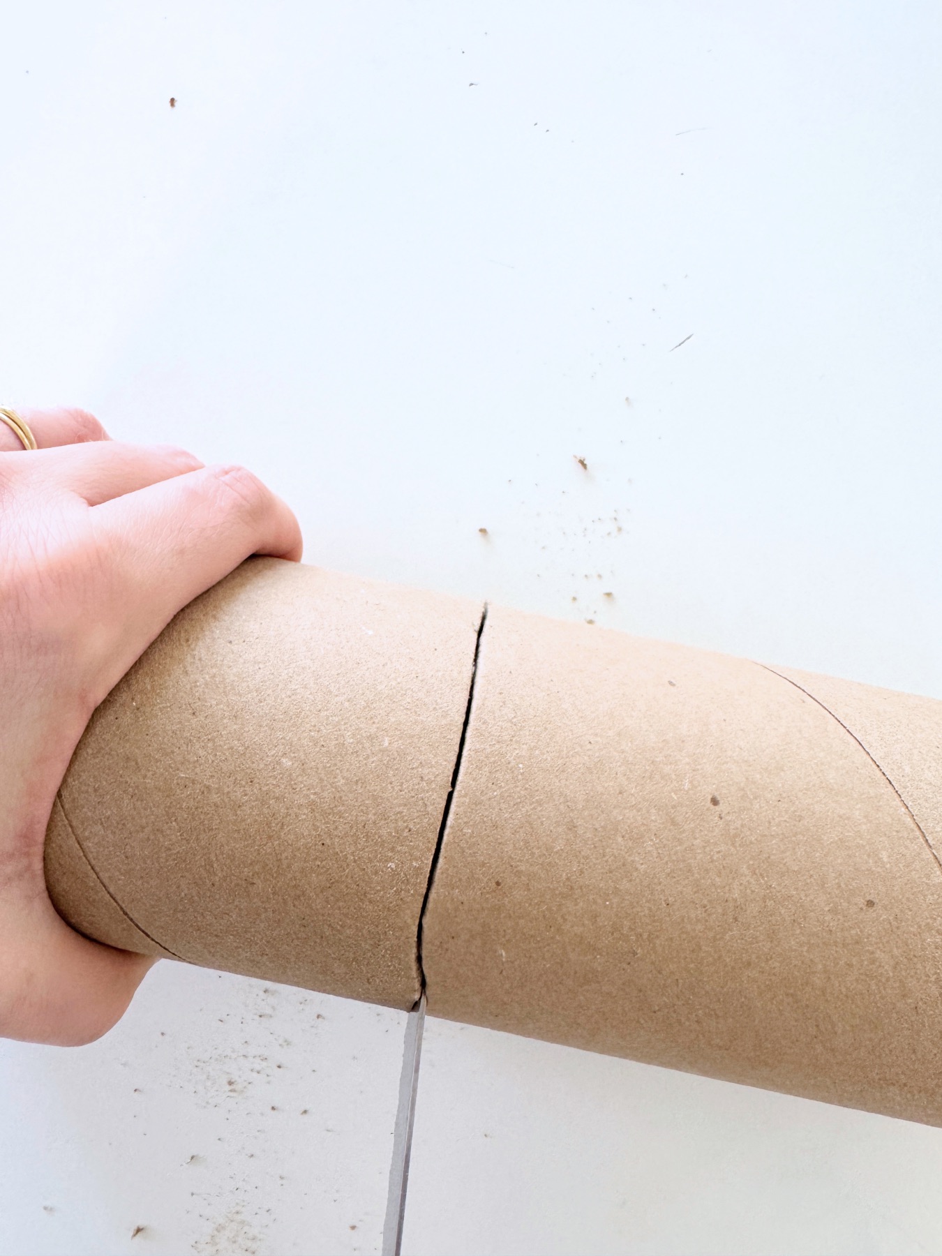 you can use a knife to cut your mold web
