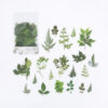 Leaves & Vines Bullet Journaling Sticker Set